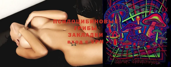 прущие крисы Пролетарск