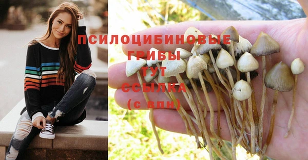 Альфа ПВП Алексеевка