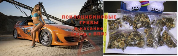 ALPHA PVP Алзамай